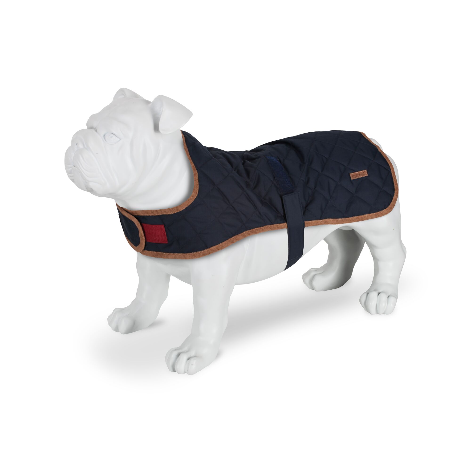 Regatta Odie Insulated Dog Jacket eBay