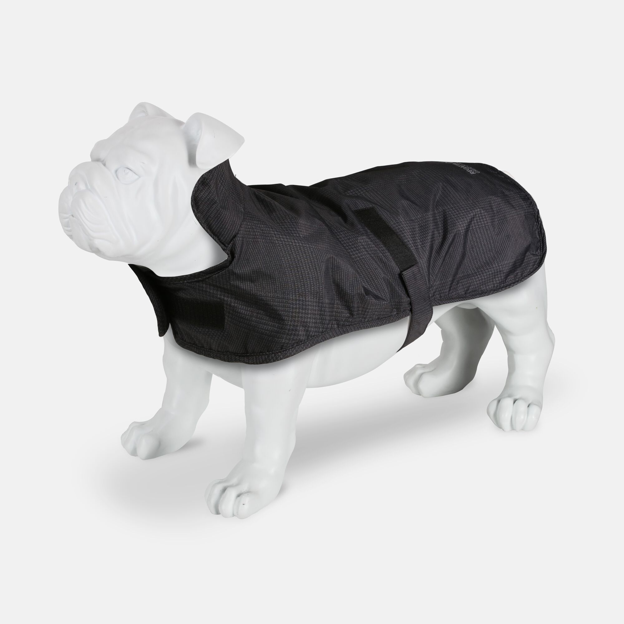 regatta dog coat