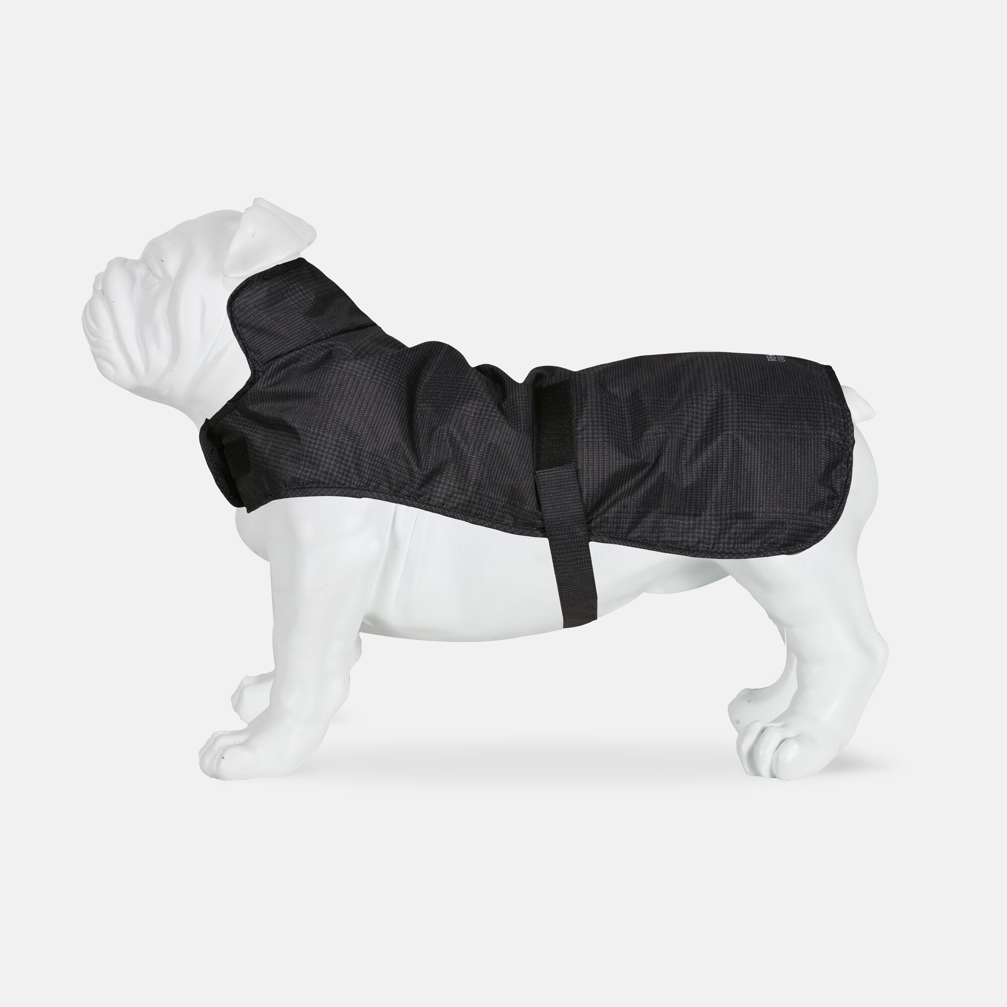 regatta dog coat