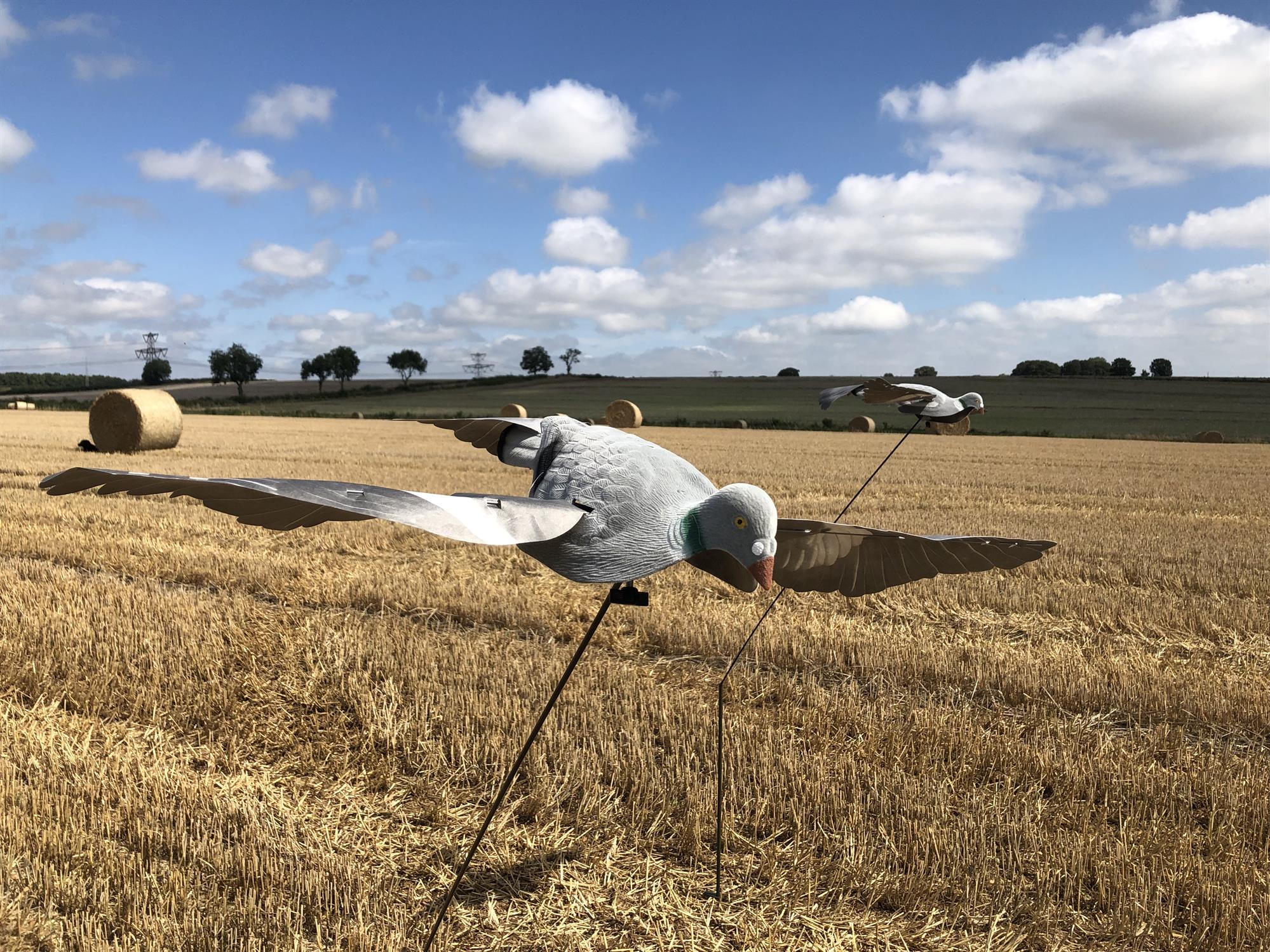 Professional Pro Floater Bouncer with Optional Cradle and Pigeon or