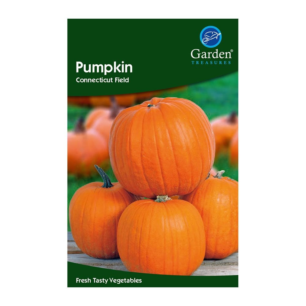 Vegetable Seeds, Herb Seeds, Fruit Seeds -Garden Treasures Easy Grow Free Uk P&P - Picture 18 of 45