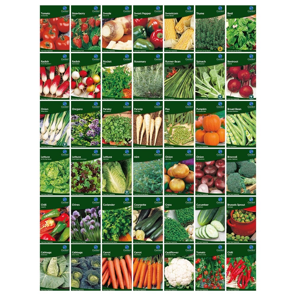 Vegetable Seeds, Herb Seeds, Fruit Seeds -Garden Treasures Easy Grow Free Uk P&P - Picture 30 of 45