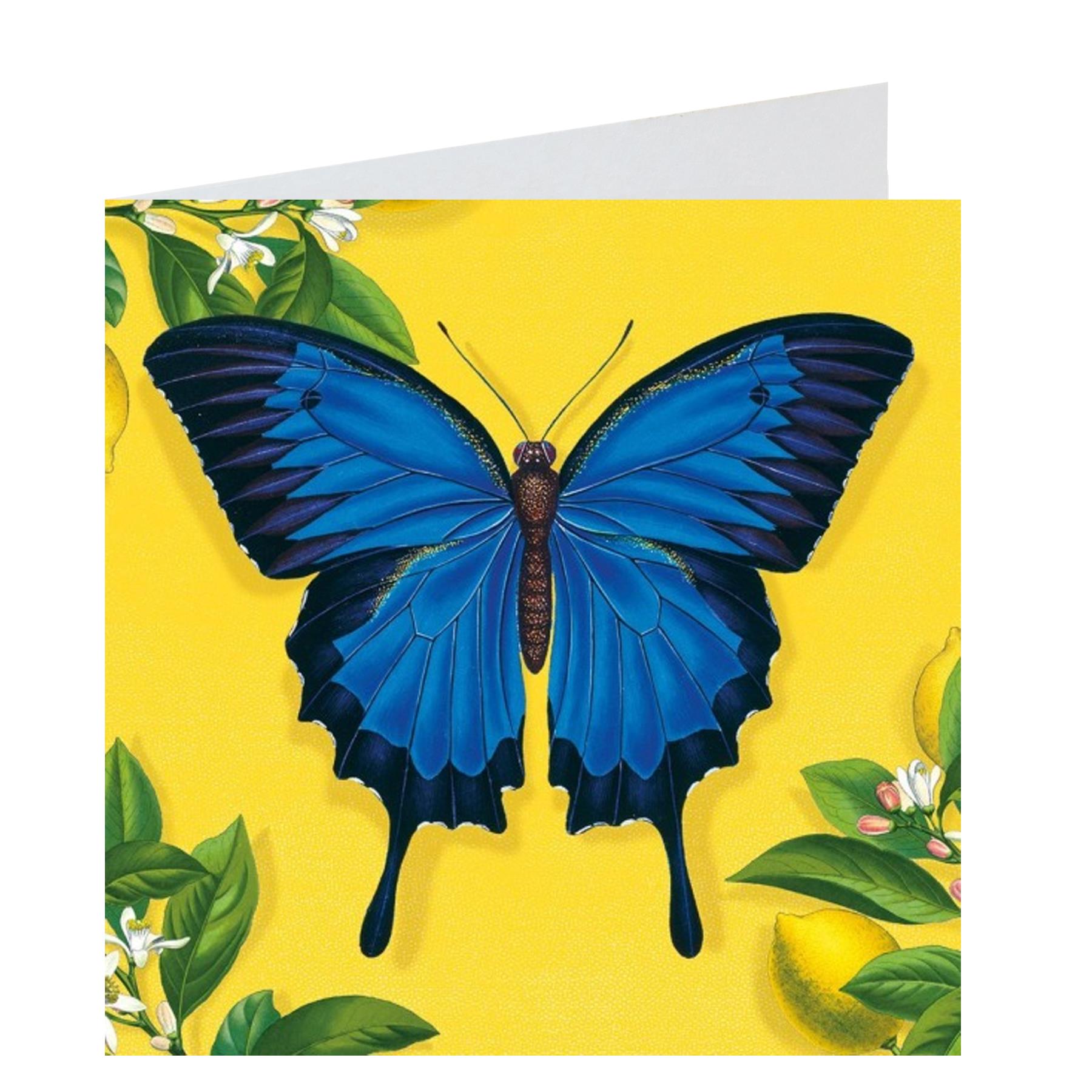 Mini Notecards Wallet Blank with Envelopes Set of 8 - Choose Design - Picture 14 of 41