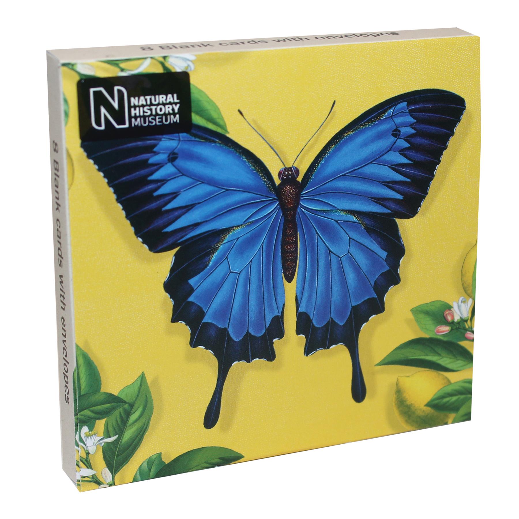 Mini Notecards Wallet Blank with Envelopes Set of 8 - Choose Design - Picture 16 of 41