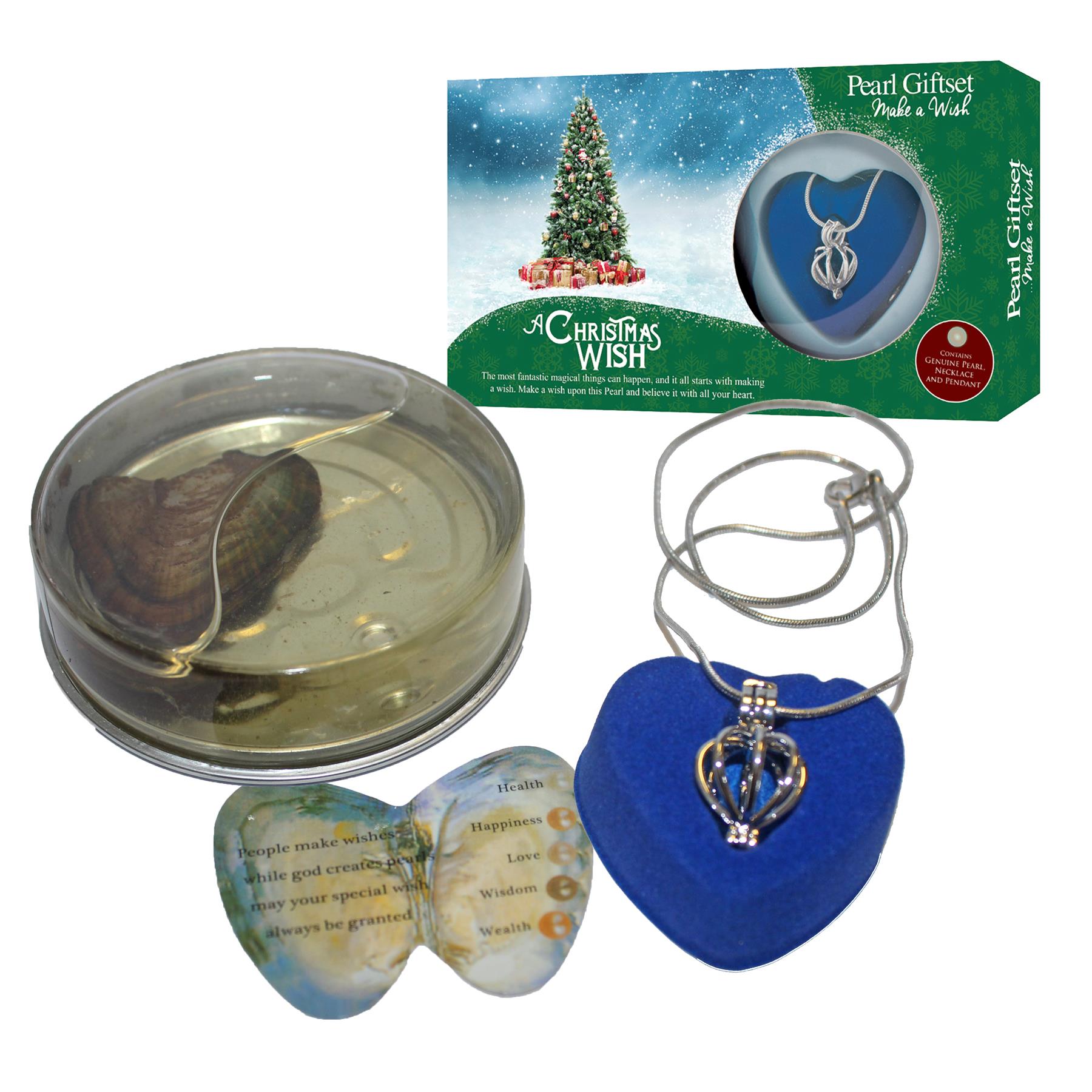 Christmas Wish Pearl and Pendant Necklace Gift Set – Choose Design