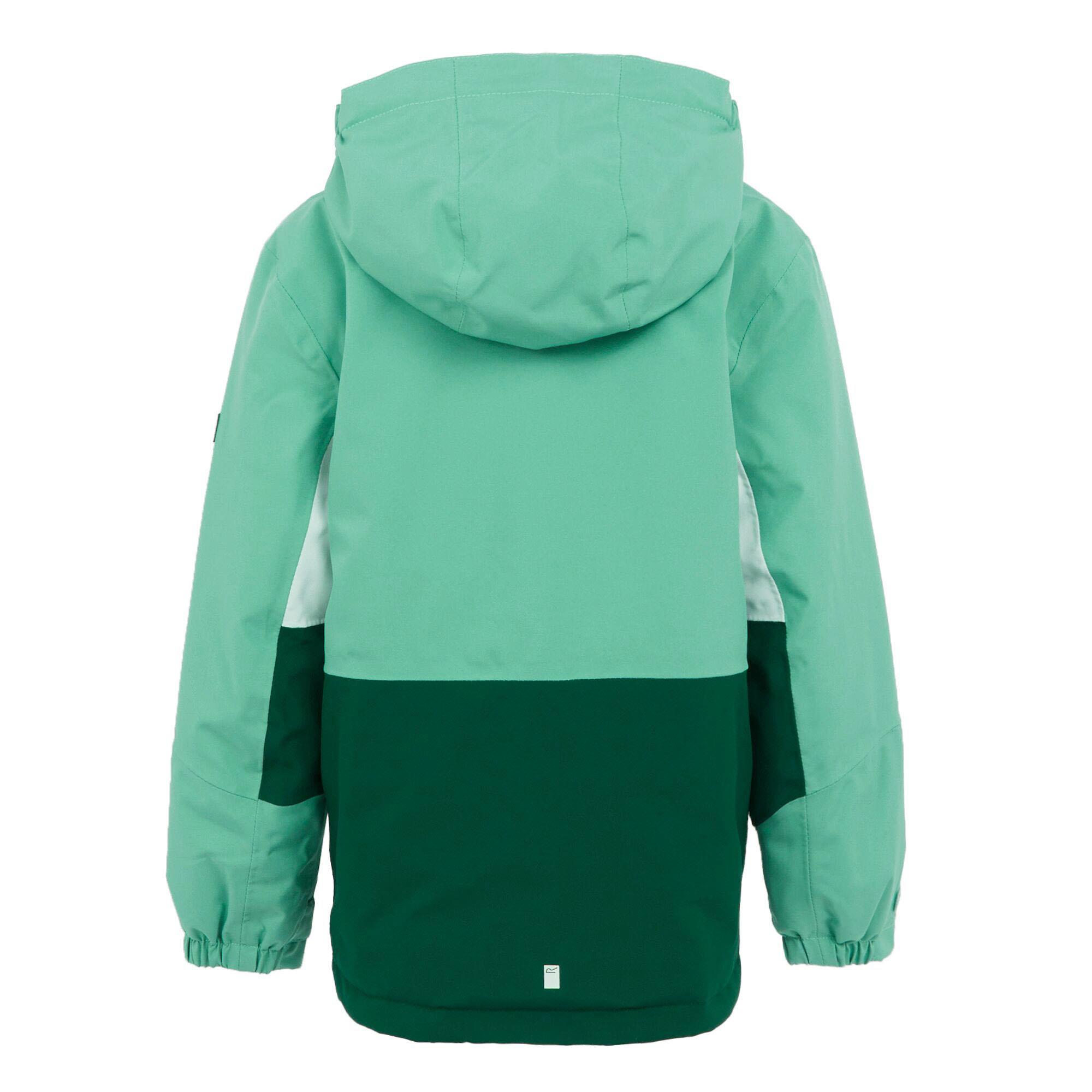 Regatta Kids Highton Padded V Waterproof Insulated Jacket - Picture 27 of 41