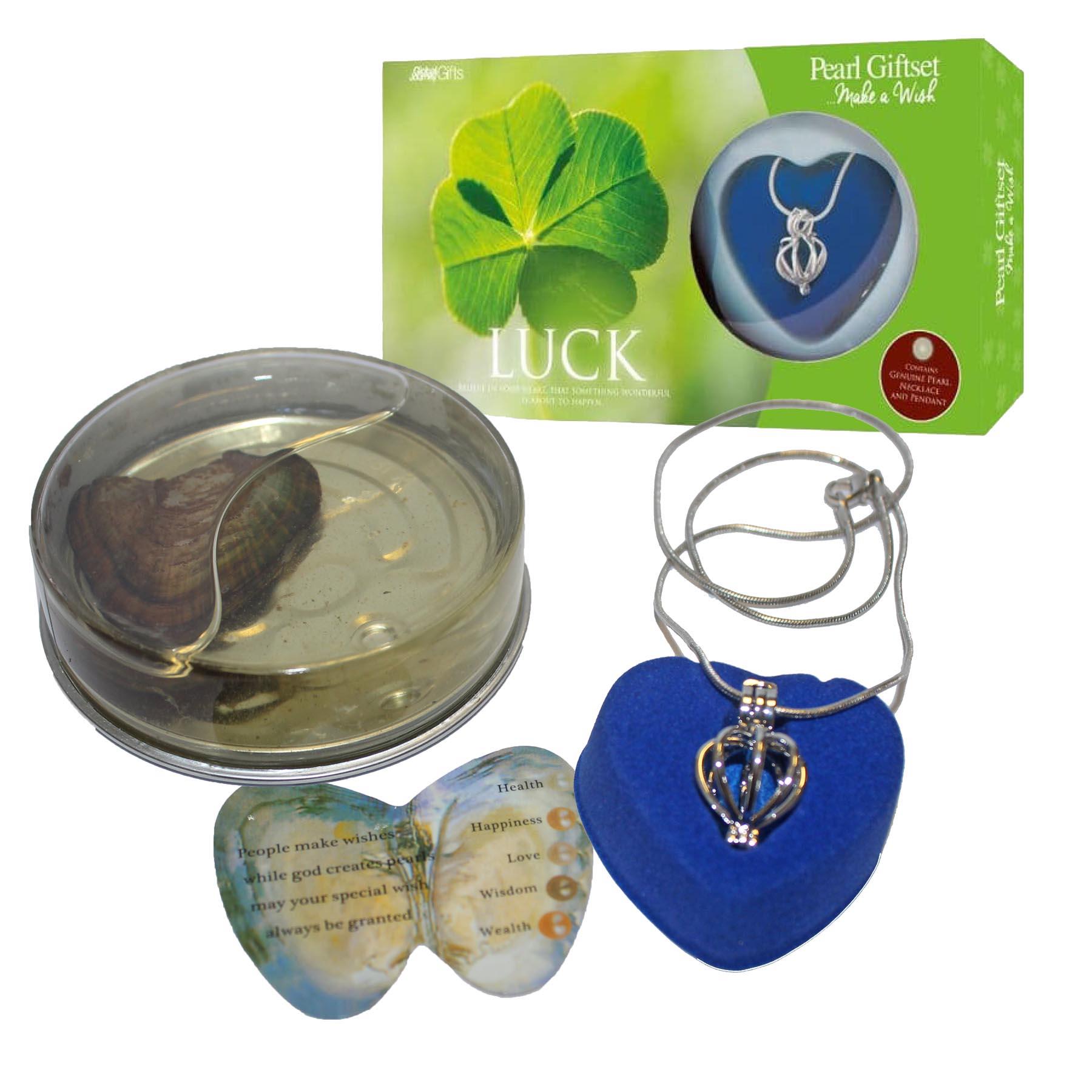 Wish Pearl and Pendant Necklace Gift Set - Choose Design - Picture 18 of 65
