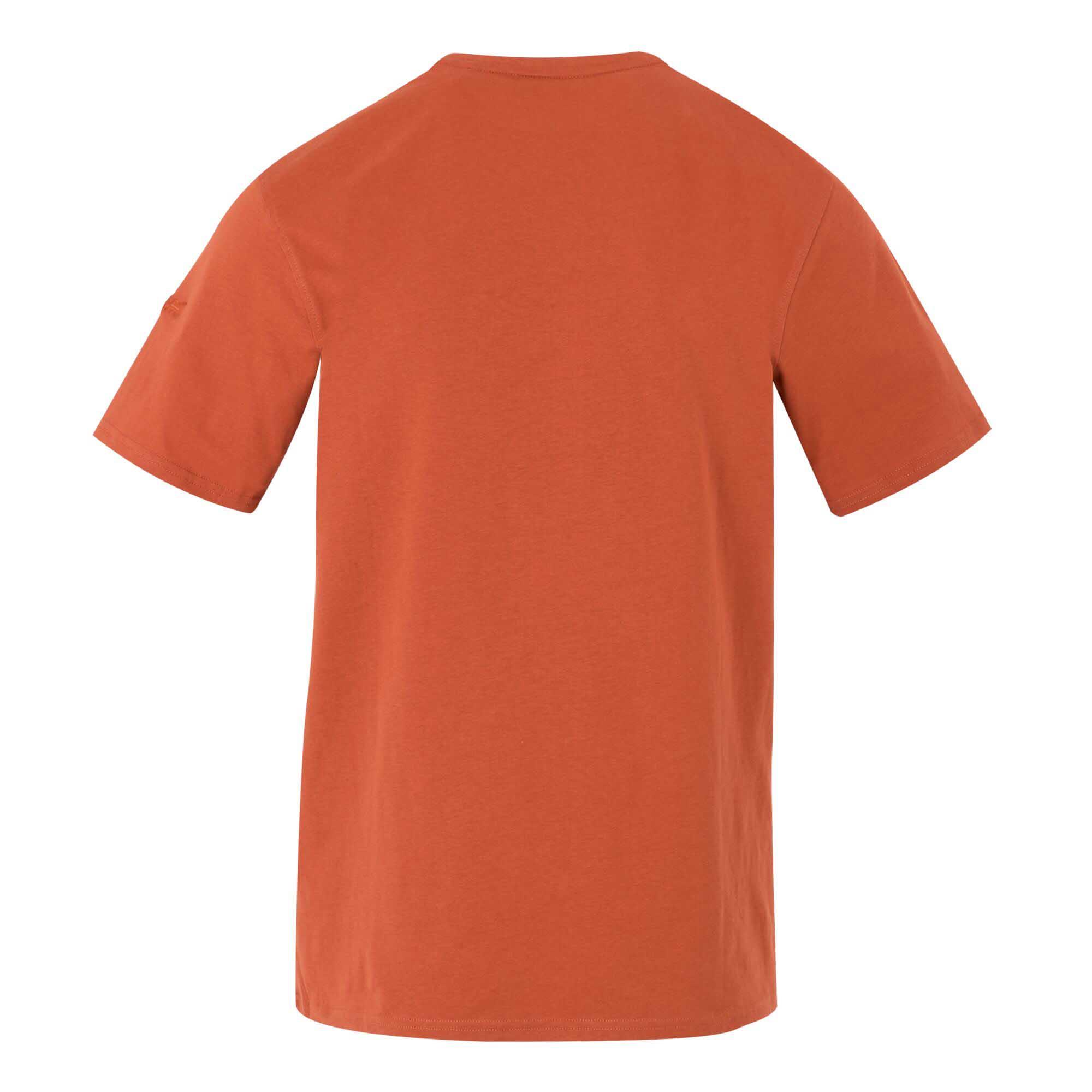 Regatta Mens Cline IX Short Sleeved T-Shirt - Picture 99 of 111