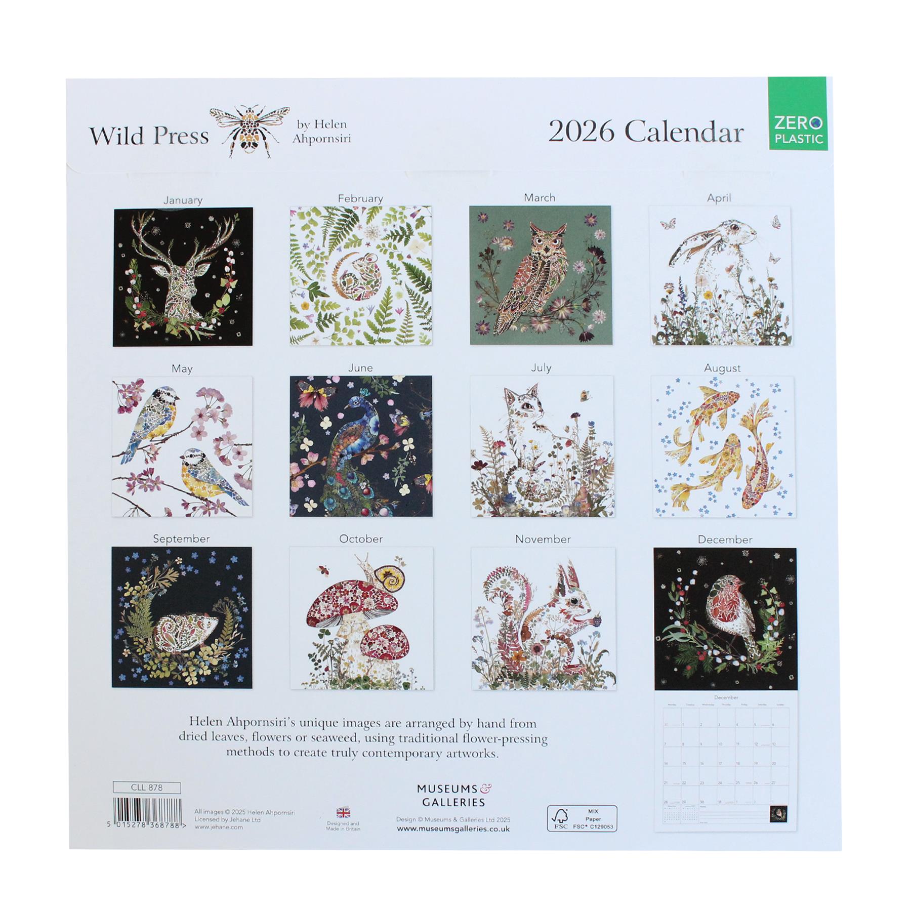 2026 Wall Calendar Month to View Eco-Friendly Plastic Free - Choose Design - Picture 13 of 16