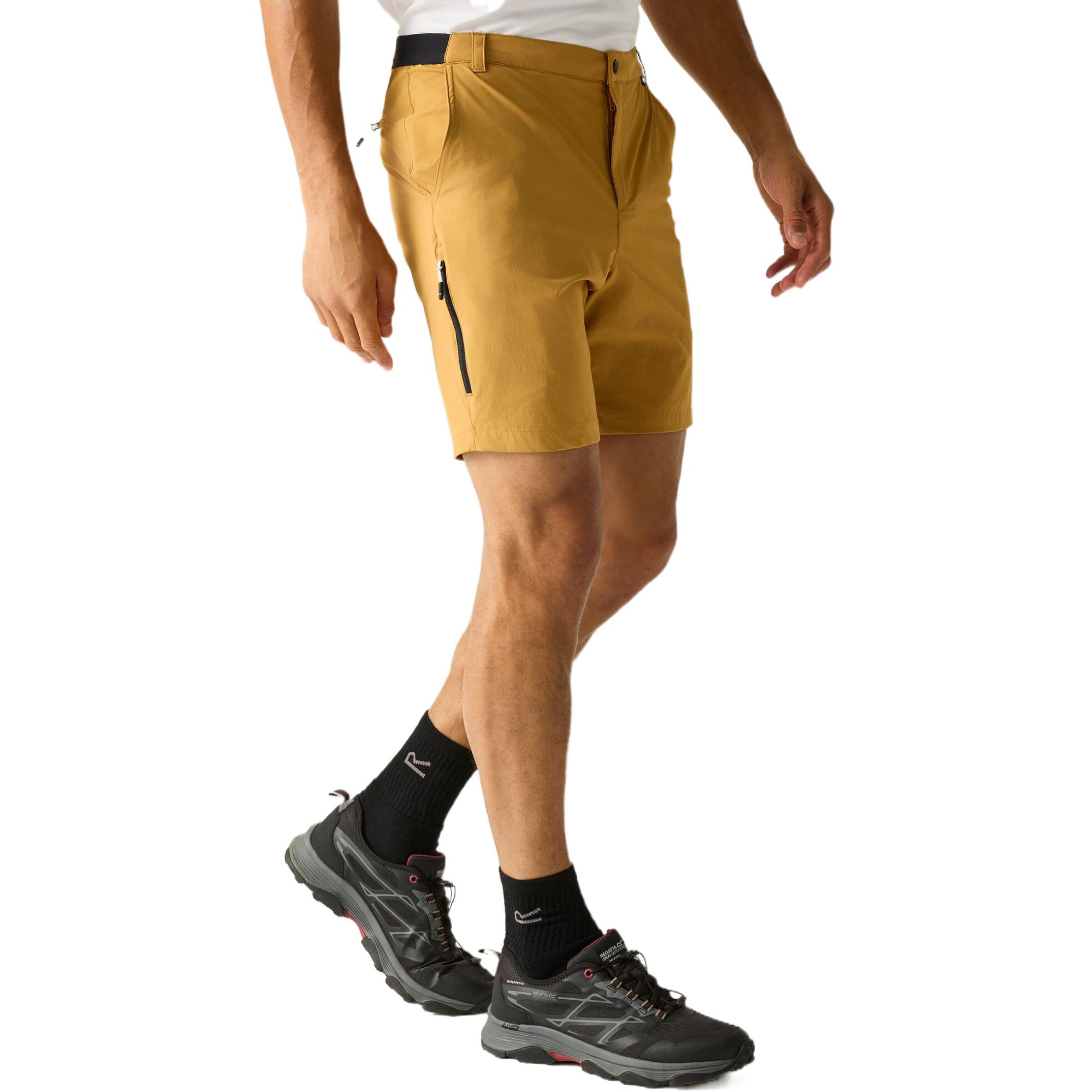 Regatta Mens Anti-Insect Travel Light Shorts Trousers